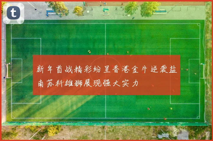 新年首战精彩纷呈香港金牛逆袭盐南苏科雄狮展现强大实力