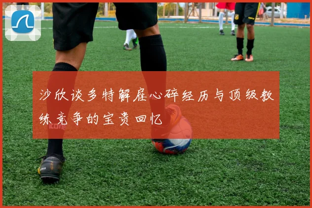 沙欣谈多特解雇心碎经历与顶级教练竞争的宝贵回忆
