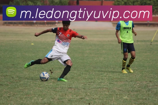 乐动体育发展历程